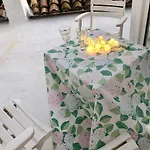 Diana 16 德尼亚